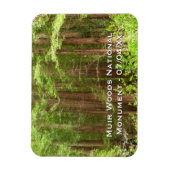 Magnet Flexible Les séquoias au monument national de Muir Woods (Vertical)