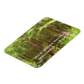 Magnet Flexible Les séquoias au monument national de Muir Woods (Côté Gauche)