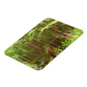 Magnet Flexible Les séquoias au monument national de Muir Woods (Côté Gauche)