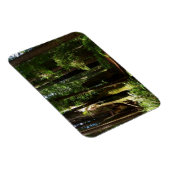 Magnet Flexible Les séquoias et les fougères du parc national Redw (Côté Droit)