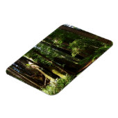 Magnet Flexible Les séquoias et les fougères du parc national Redw (Côté Gauche)