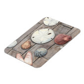 Magnet Flexible Les trésors marins (Côté Gauche)