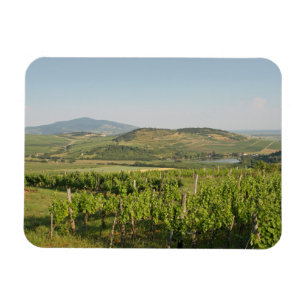 Magnet Flexible Les vignobles de Tokaj, Hongrie