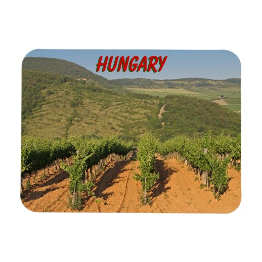 Magnet Flexible Les vignobles de Tokaj, Hongrie (Horizontal)