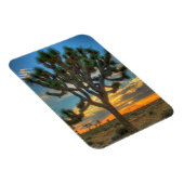 Magnet Flexible Lever Du Soleil Au Parc National De Joshua Tree (Côté Droit)