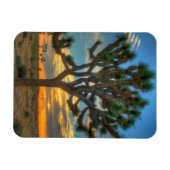 Magnet Flexible Lever Du Soleil Au Parc National De Joshua Tree (Horizontal)