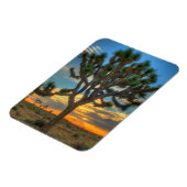 Magnet Flexible Lever Du Soleil Au Parc National De Joshua Tree (Côté Gauche)