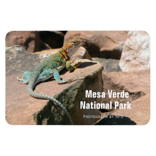 Magnet Flexible Lézard en collier, Aimant Mesa Verde (Horizontal)