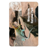 Magnet Flexible Lézard en collier, Aimant Mesa Verde (Vertical)