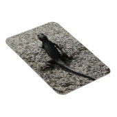 Magnet Flexible Lézard noir (Côté Droit)