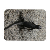 Magnet Flexible Lézard noir (Horizontal)