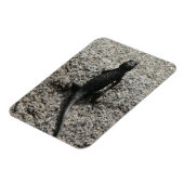 Magnet Flexible Lézard noir (Côté Gauche)