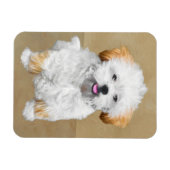 Magnet Flexible Lhasa Apso Puppy Peinture - Cute Original Chien Ar (Horizontal)