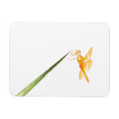 Magnet Flexible libellule ambrée mexicaine (Horizontal)