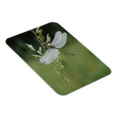 Magnet Flexible Libellule Darner couverte de rosée (Côté Droit)