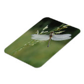 Magnet Flexible Libellule Darner couverte de rosée (Côté Gauche)