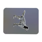 Magnet Flexible Liewellin Setter (Horizontal)