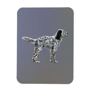Magnet Flexible Liewellin Setter