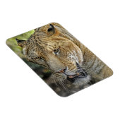 Magnet Flexible Liger (Côté Droit)