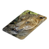 Magnet Flexible Liger (Côté Gauche)