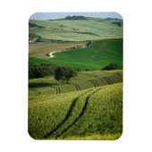 Magnet Flexible Lignes courbes dans aimant vertical vert Toscane (Vertical)