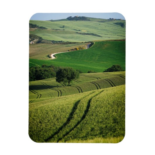 Magnet Flexible Lignes courbes dans aimant vertical vert Toscane (Vertical)