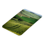 Magnet Flexible Lignes courbes dans aimant vertical vert Toscane (Côté Gauche)