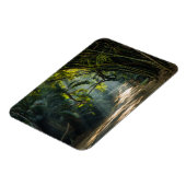Magnet Flexible Lignes de Bambou (Côté Gauche)