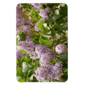 Magnet Flexible Lilac Bush Belles fleurs de printemps violettes (Vertical)