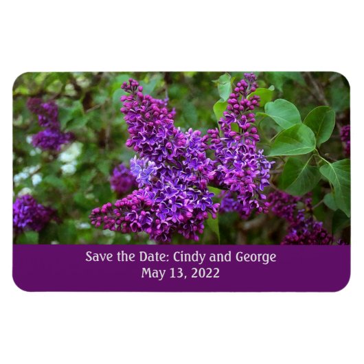 Magnet Flexible Lilacs violets le jour du printemps - Enregistrer  (Horizontal)