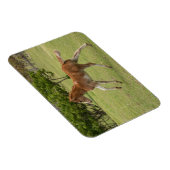 Magnet Flexible L'île de Pâques aka Rapa Nui (Côté Droit)