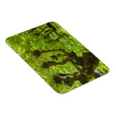 Magnet Flexible L'île de Sao Miguel (Côté Droit)