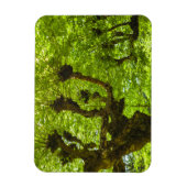 Magnet Flexible L'île de Sao Miguel (Vertical)