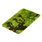 Magnet Flexible L'île de Sao Miguel (Côté Gauche)