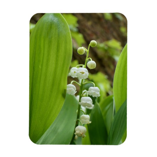 Magnet Flexible Lily de la Vallée (Vertical)