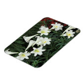 Magnet Flexible Lily de Pâques (Lilium regale) (Côté Gauche)