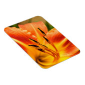 Magnet Flexible Lily de tigre orange (Côté Droit)