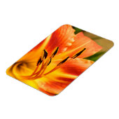 Magnet Flexible Lily de tigre orange (Côté Gauche)