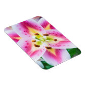 Magnet Flexible Lily en gros plan (Côté Droit)