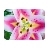 Magnet Flexible Lily en gros plan (Horizontal)
