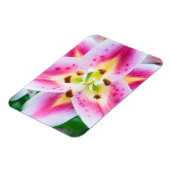 Magnet Flexible Lily en gros plan (Côté Gauche)