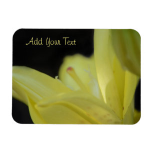 Magnet Flexible Lily jaune par Shirley Taylor