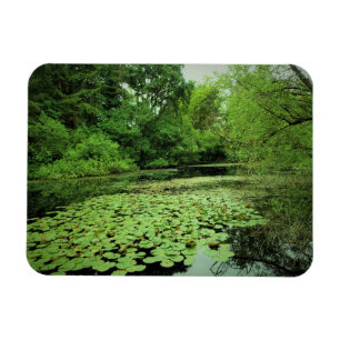 Magnet Flexible Lily Pads sur le Pond