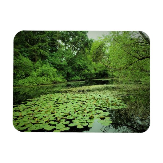 Magnet Flexible Lily Pads sur le Pond (Horizontal)