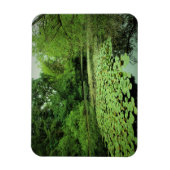 Magnet Flexible Lily Pads sur le Pond (Vertical)