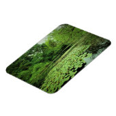 Magnet Flexible Lily Pads sur le Pond (Côté Gauche)