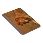 Magnet Flexible Lion 8 (Côté Droit)