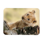 Magnet Flexible Lion Cub (Horizontal)