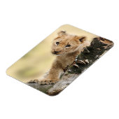 Magnet Flexible Lion Cub (Côté Gauche)