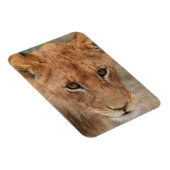 Magnet Flexible Lion Cub (Côté Droit)